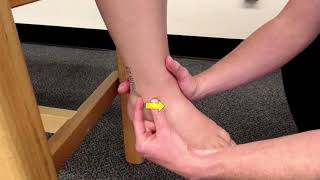 Distal Tibiofibular Joint Play Whitworth Athletic Training [upl. by Clyve540]