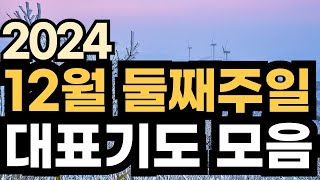 주일 대표기도문ㅣ2024년 12월 주일예배기도 모음ㅣ12월 2주 대표기도문 모음ㅣ대표기도가 어려운분들을 위한 기도예시문ㅣ12월 둘째주 주일 예배 대표기도 준비 [upl. by Nauqyt]