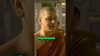 How to meditate like a Buddhist monk🧘‍♂️vipassanameditation meditateeveryday meditationpractice [upl. by Rafe]