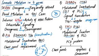 Pancreatic Carcinoma  Robbins pathology chapter 17 pancreas pathology pathology mbbslectures [upl. by Beaner434]