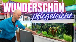 Das pflegeleichteste Aquarium Juwel Rio 240 mit Moosrückwand [upl. by Noizneb]