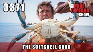 Ep 3371 The SoftShell Crab [upl. by Nyleuqcaj466]