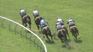 MONMOUTH PARK 8312024 RACE 5  THE VIOLET STAKES [upl. by Otrebla]