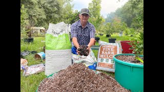 Easy DIY Potting Mix Good Better and Best mixes that are cheaper than store bought mixes [upl. by Nils311]