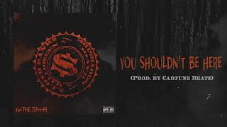 Lloyd Banks  You Shouldnt Be Here Visualizer [upl. by Begga]