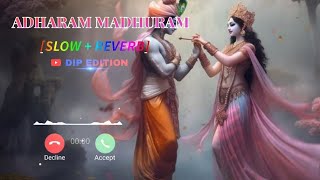 Adharam madhuram ringtone  adharam madhuram song  lofi song  adharammadhuram [upl. by Demakis325]