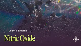 Nitric Oxide  Guided Breathwork 10 minutes [upl. by Story]