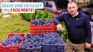 Cómo hacer vino en casa  receta de vino casero [upl. by Zakaria]