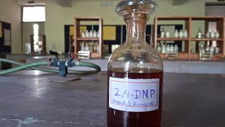 How to prepare 2 4 DNP reagent । Bradys reagent [upl. by Cymbre199]