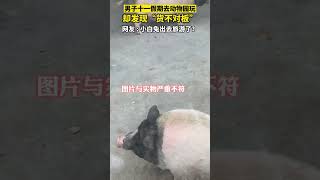 男子去动物园参观，发现图片与实物严重不符 funny 动物 动物园 [upl. by Grier]