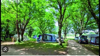 Camping reservation  Qui est le premier a avoir camping reservation [upl. by Lyford]