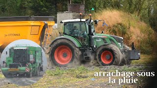 ARRACHAGE DE PDT EN CONDITION DIFFICILE🥔⛈️PLUIEBOUEPRODAGRI [upl. by Aiekan]