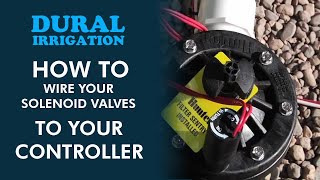 How to wire solenoid valves to your controller [upl. by Sonitnatsnoc822]