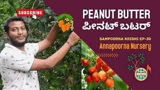 ಪೀನಟ್ ಬಟರ್  Peanut Butter with subtitles  Plant and Care  Sampoorna Krishi [upl. by Ariahaj]