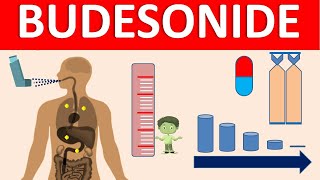 Budesonide  Mechanism side effects precautions amp uses [upl. by Airamasor]