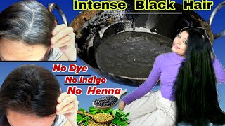 Intense Black Hair Naturally Without Dye Henna amp Indigo amp Reverse Premature Greying ।Garima Singh [upl. by Anaihs]