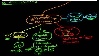 Hepatic Physiology 1 Functions of the Liver [upl. by Melessa700]