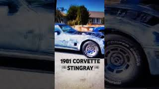 CORVETTE C3 1981 TEST DRIVE🏁🏁🏁🏁FINALLY 🏁🏁 [upl. by Sixele852]