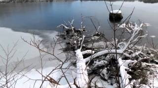 Damariscotta River Association February 2014 [upl. by Hogen]