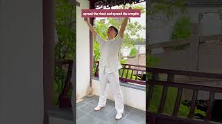 Daily exercise for unblock chest breathing better breathwork exercise fittness TaiChi [upl. by Rednaskela928]