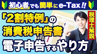 【2024年最新版】2割特例の消費税申告書をeTaxで電子申告するやり方を税理士がわかりやすく解説【確定申告個人事業主 [upl. by Lezlie]