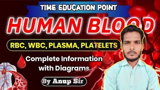 Human Blood  रक्त परिसंचरण तंत्र   RBC  WBC  Platelets  Plassma  Function of Blood [upl. by Anahs727]