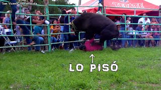 NO TE METAS SON DEMONIOS DISFRAZADOS DE TOROS SON LOS INDESTRUCTIBLES DE H3H EN SAN VICENTE DE TAMA [upl. by Ennovyahs292]