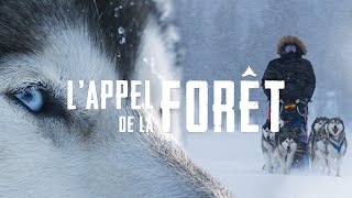 LAPPEL DE LA FORÊT  TRAILER [upl. by Nottus56]