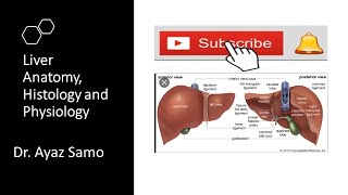 Liver in UrduHindi [upl. by Siegler763]