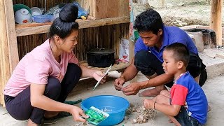 Pig House Wall Construction Process And Gardening  Farmer Family [upl. by Alver425]