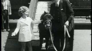 Movietone News 1936 Dick Powell Joan Blondell Shirley Temple [upl. by Aivatnuhs]