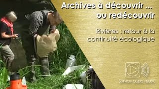 Rivières  retour à la continuité écologique [upl. by Atiuqahc934]