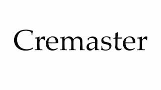 How to Pronounce Cremaster [upl. by Ahsir]