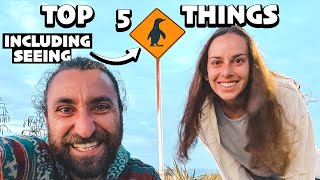 TIMARU  top 5 things to do 🐧 [upl. by Ayotas]