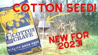 How to Bring More Deer to Your Property  Big amp J Deer Feed [upl. by Getter875]