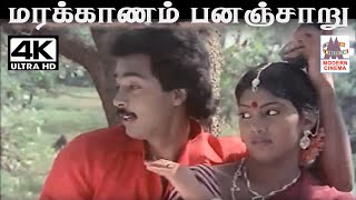 Marakkanam Panancharu மலேசியாவாசுதேவன் பாடிய கிராமிய பாடல் மரக்காணம் பனஞ்சாறு [upl. by Acirred]