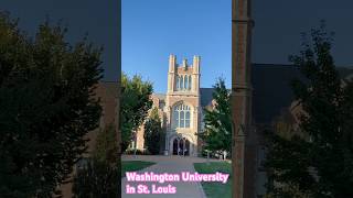 Washington University in St Louis campus 2024 [upl. by Keating]