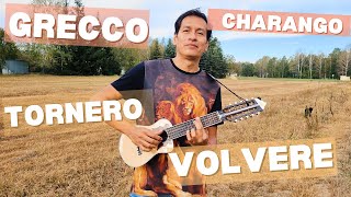 Tornero  Volvere  Song to get you positively excited  relax and enjoy  Grecco Calderon charango [upl. by Martguerita358]