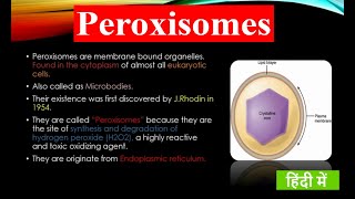 What is Peroxisome   Structure and Functions  Cell Organelles  Fundamental Unit of Life [upl. by Stout]