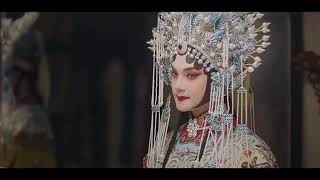 Shang Xirui FMV  Yin Zheng  尹正  Winter Begonia Chinese drama  鬓边不是海棠红 [upl. by Duncan]