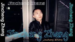 Jincheng Zhang  Inspect Instrumental Version Background Official Audio [upl. by Ennasor300]