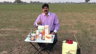 Video  1 of 27 Wheat Weed Management amp Herbicdes – Types of weeds amp Weedicides Practical Lecture Se [upl. by Bonnibelle]