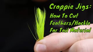 Crappie Jigs How To Cut Feathers  Hackle For Tail Material [upl. by Sucram]