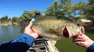 fishing puddingstone lake for bass [upl. by Ttej]