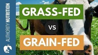 Is GrassFed Beef Really Healthier Than GrainFed [upl. by Rapsac]