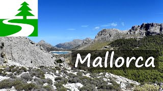 Die schönsten Wanderungen auf Mallorca [upl. by Crin841]