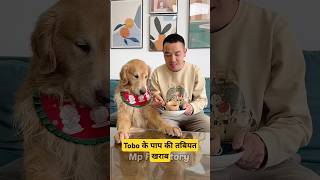 🐕Tobo के पापा की तबीयत खराब  mini wood toy  woodworking art skill  hand crafts shorts pets [upl. by Bertero305]