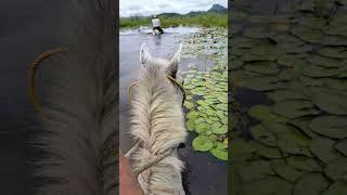 LAGUNA POZO DE AGUA NICOYA GUANACASTE COSTA RICA [upl. by Leiand727]