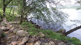 Ennerdale Water a Lake Walk in Cumbria [upl. by Hoffert164]