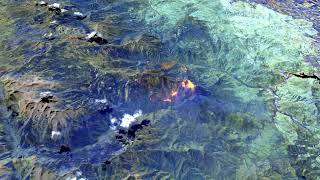 Coffee Pot Fire August 1030 2024 South Sierra Nevada Satellite Infrared Imagery Progression [upl. by Assillam]